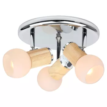 Светильник спот Lussole Saltara LSN-6007-03