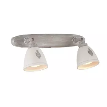 Светильник спот Maytoni Agnes SP289-CW-02-BG