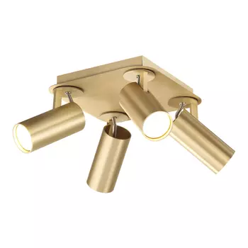 Светильник спот Odeon Light Corse 3876/4C