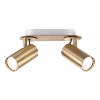 Светильник спот Odeon Light Corse 3876/2C