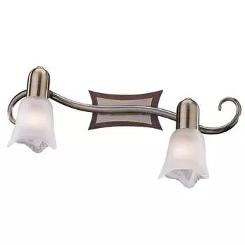 Светильник спот Odeon Light ILSA 1968/2W