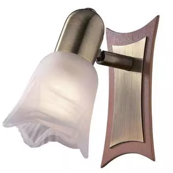 Светильник спот Odeon Light ILSA 1968/1W