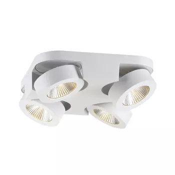 Светильник спот Odeon Light Laconis 3538/4LC