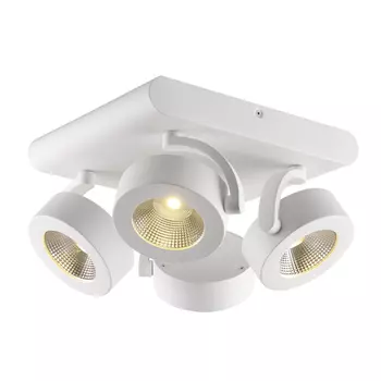 Светильник спот Odeon Light Pumavi 3493/40CL