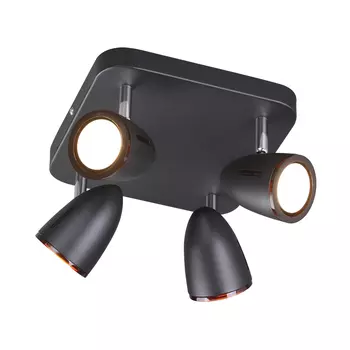 Светильник спот Odeon Light Reanna 3824/4C