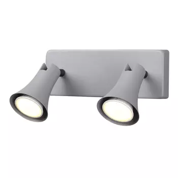 Светильник спот Odeon Light Reanna 3825/2W