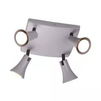 Светильник спот Odeon Light Reanna 3825/4C