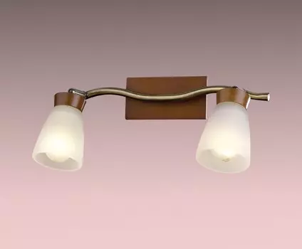 Светильник спот Odeon Light TARA 1971/2W