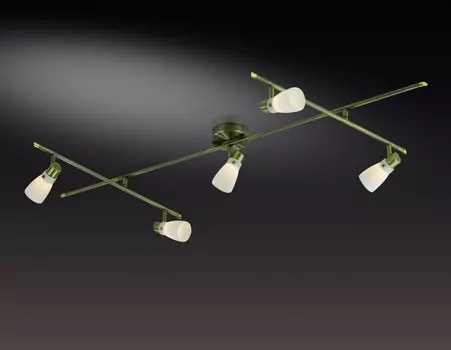 Светильник спот Odeon Light TERZA 2065/5C