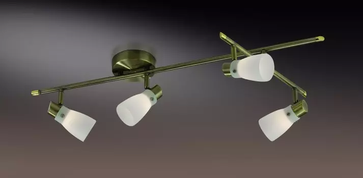 Светильник спот Odeon Light TERZA 2065/4C