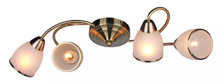 Светильник спот Omnilux Bassigny OML-35927-04