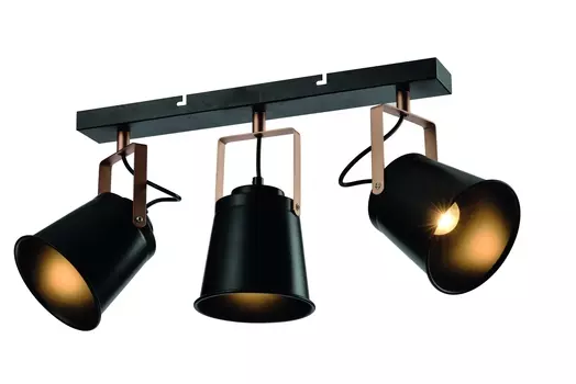 Светильник спот Rivoli Acuto 7015-703