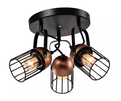 Светильник спот Rivoli Anemon 5062-733