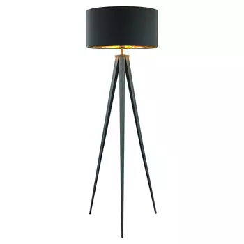 Торшер Lussole LSP-0607