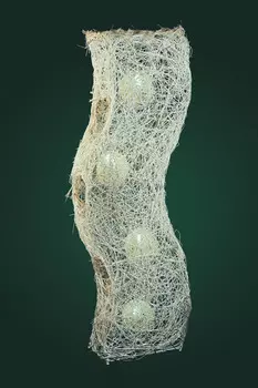 Торшер Максисвет 4-6040-4-WH E14