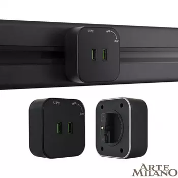 Трековая розетка Arte Milano Am-track-sockets 380022TS/USBx2 Black