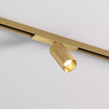 Трековый светильник Denkirs SHINE SPOT DK5740-SB