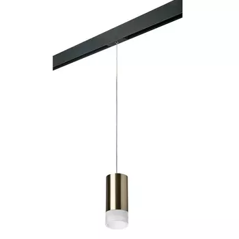 Трековый светильник Lightstar Rullo PRORP43131