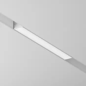 Трековый светильник Maytoni Basis Gravity TR074-2-12W4K-W