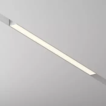 Трековый светильник Maytoni Basis Gravity TR074-2-20W3K-W