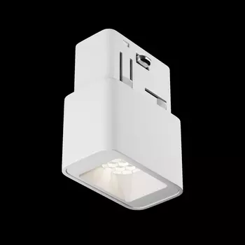 Трековый светильник Maytoni Points S Exility TR100-2-2W4K-S-W