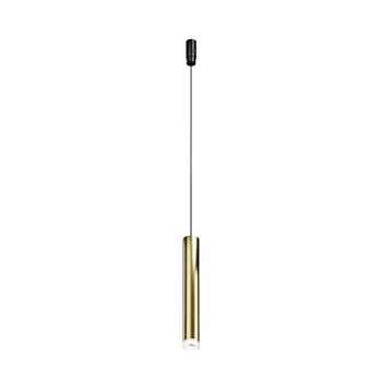 Трековый светильник Maytoni Skim TR210-1-5W3K-M-BBS