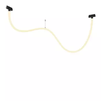 Трековый светильник Maytoni Tau Exility TR101-2-50W3K-B