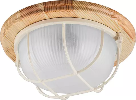 Уличный потолочный светильник Feron НБО 03-60-012 11570