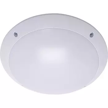 Уличные потолочные Feron Альтан 41359