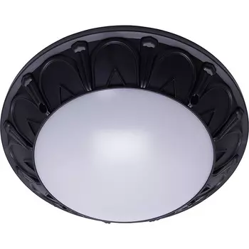 Уличные потолочные Feron Маэстро 41361