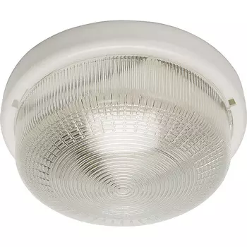 Уличный потолочный светильник Feron НБО 05-100-001 41403