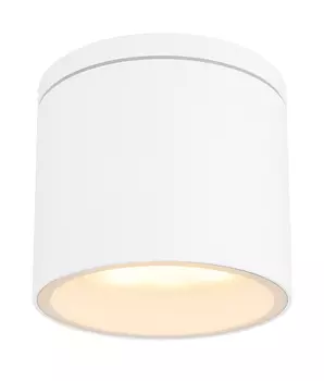 Уличные потолочные Globo Alcala 32063W