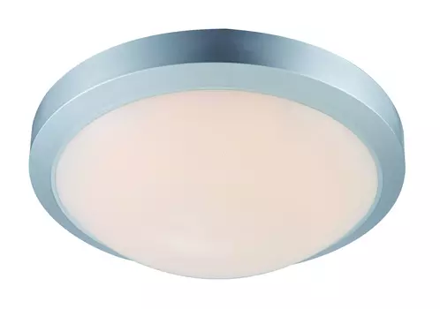 Уличные потолочные Globo John 32107S