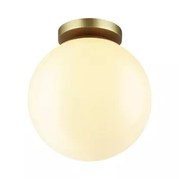 Уличные потолочные Odeon Light Bosco 4248/1C