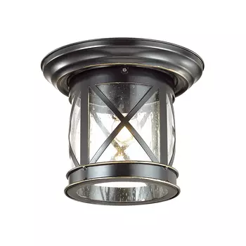 Уличные потолочные Odeon Light Sation 4045/1C