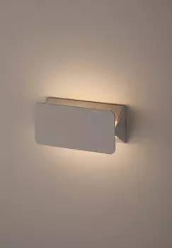 Уличный LED настенный светильник ЭРА WL5 WH