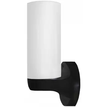 Уличный настенный светильник Arte Lamp PORCH A5171AL-1BK