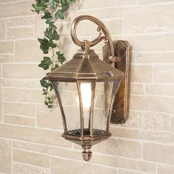 Уличный настенный светильник Elektrostandard Virgo Virgo D черное золо