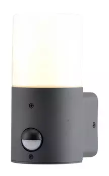 Уличный настенный светильник Escada Pair 581/1A