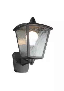 Уличный настенный светильник Favourite Colosso 1817-1W