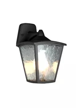 Уличный настенный светильник Favourite Colosso 1819-1W