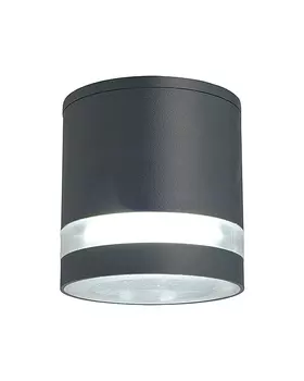 Уличный настенный светильник Favourite Flicker 1830-1U