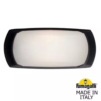 Уличный настенный светильник Fumagalli Francy 2A1.000.000.AYF1R