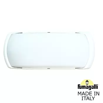 Уличный настенный светильник Fumagalli Francy 2A1.000.000.WYF1R