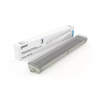 Уличный настенный светильник Gauss СПП-Т8-G13 INDUSTRY 909410260