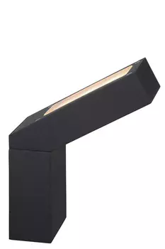 Уличный настенный светильник Lucide Demy 27861/09/30