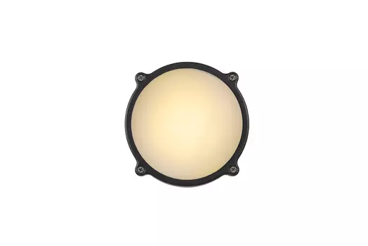 Уличный настенный светильник Lucide Hublot Led 14810/06/36