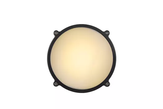 Уличный настенный светильник Lucide Hublot Led 14810/12/36