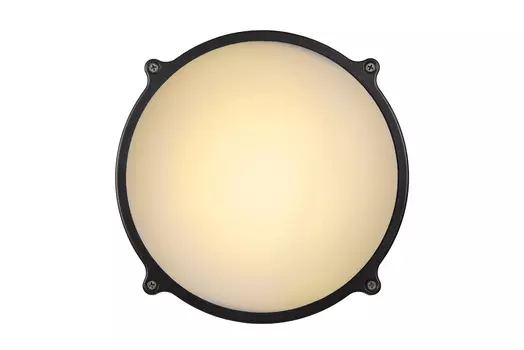 Уличный настенный светильник Lucide Hublot Led 14810/20/36