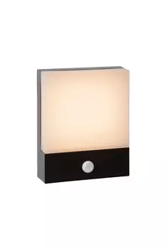 Уличный настенный светильник Lucide Limba 27877/06/30